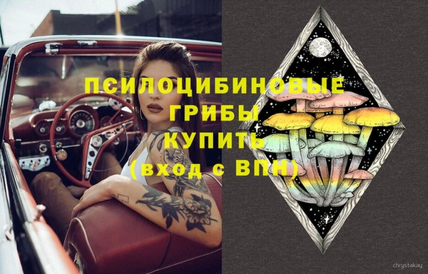 трава Волоколамск
