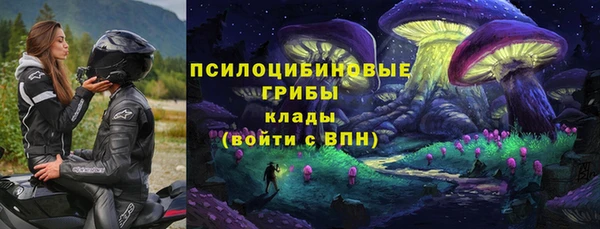 меф Горно-Алтайск