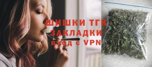 эйфоретик Вяземский