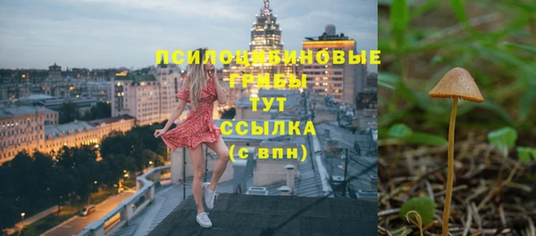 эйфоретик Вяземский