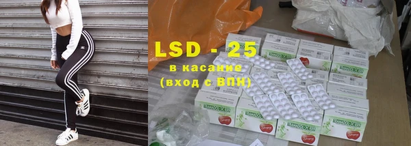 эйфоретик Вяземский