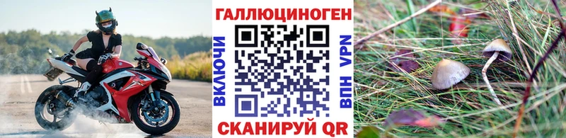 Псилоцибиновые грибы GOLDEN TEACHER  мега рабочий сайт  Жиздра 